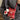 e973e03c-add6-4f02-898f-5c8641145018-Max-Origin