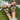 eba49f51-43a5-4935-8901-966f68264fc3-Max-Origin