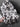 ebc268116b4a4202b8a2415c847ffa25-Max-Origin