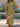 ec5dce0169c84223a45e1f6d8839b605-Max-Origin