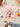 ec8c872476154873ac02dce4760d68a8-Max-Origin