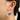 ed909b16-ad86-44a6-a49e-6f9a5d4236d8-Max-Origin