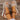 eebb4ec5-d81d-492a-bec5-c4f3e7b1fee3-Max-Origin