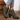 eeff115b-4b56-4ab3-a5c9-9a365225495a-Max-Origin