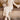 ef1df21a-1545-4b3f-80f3-29d38cee2c1a-Max-Origin