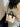ef7f104a-0a02-4b06-aeee-62b430c46ab2-Max-Origin