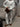 efce89e9-eb99-4463-a5e9-4d3370f9ad36-Max
