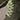 f04029400e36487cbcff0d28f5041e50-Max-Origin