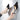 f0da8120-8090-473b-a72f-2ca36e4c8b7c-Max