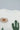 f16d1176-6e9a-472c-bc97-ce15cc5e0acb-Max-Origin