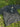 f222435415614395bf2f320bc69c8bf2-Max-Origin