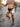 f259c82c-513e-4ae5-8841-f262e8476f67-Max-Origin