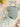 f2ca0ac7-edbe-41bc-8fa7-73f5d3435d65-Max-Origin