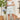 f32d769db820452897402c406e41fed5-Max-Origin