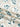 f50203ed-599a-4bf2-a74b-cb1caee4f2c2-Max