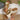 f51aa5f1e2b243b6bc8a44b980b8d5b1-Max-Origin
