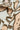 f69d47ce-164a-4727-8fde-3bd98df72632-Max-Origin