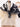 f70e2f4c-a96f-4f78-b8e6-faab2093c746-Max-Origin