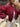 f87e59b6-8f28-48aa-b27e-2155b0918051-Max-Origin