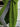 f9ea68ad-462c-43ee-b73c-1157a75bd5a1-Max-Origin