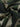 fb1435d841354a778bf09e78cc6c941e-Max-Origin