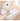 fcc25279-8c38-41ee-8d59-87df8bccbb6a-Max-Origin