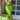 fcc7e61e-b65f-4e7d-ba5e-e1ab88946f57-Max-Origin