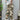 fd8e6dc9269c4e2a8af1af9cd5c38d7b-Max-Origin
