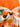 fdb6739db2b34a8fa218f1a3e09fe4fa-Max