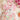 fe426fb12e9144039f1203f940222754-Max