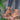ff47562d-2bc2-404b-b770-8ab01f4c3123-Max-Origin