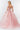 Embroidery Embellished Glitter Mesh Quinceanera Dress-4