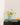 Handblown Wavy Whimsical Glass Vase - Eclectic Table Setting Centrepieces-3