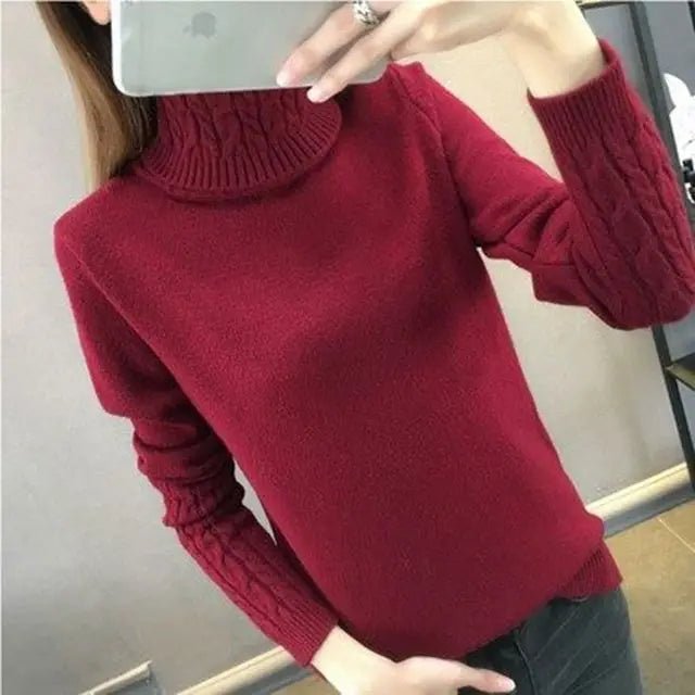 Women Turtleneck Winter Sweater Women 2023 Long Sleeve Knitted Women Sweaters And Pullovers Female Jumper Tricot Tops LY571 - Street Rider Apparel